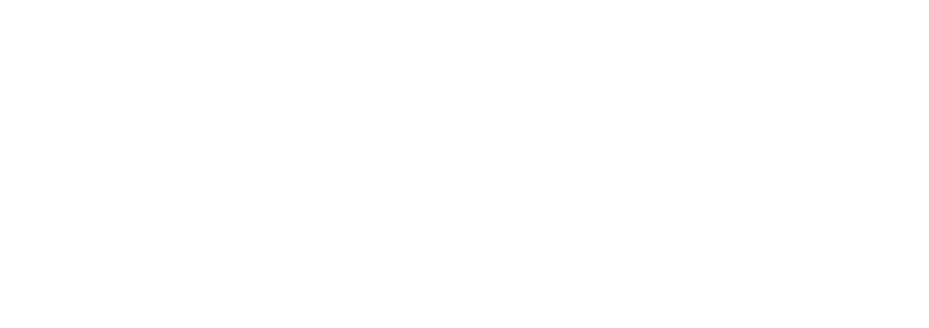 LT Novel Consulting logo